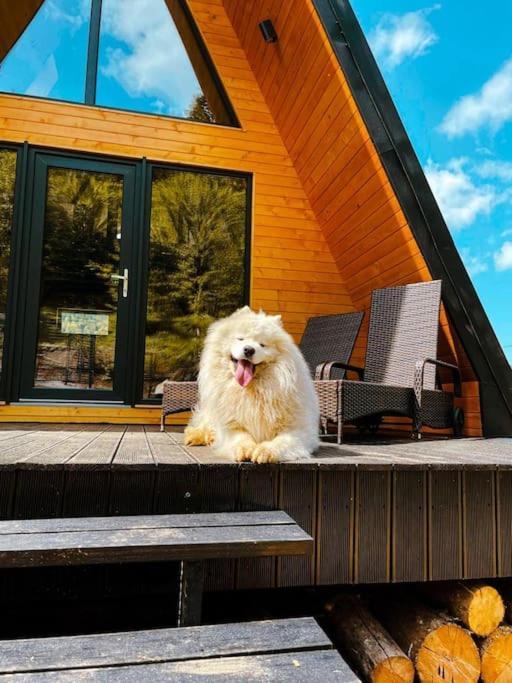 Macko'S Cabin BaileTusnad Exterior photo
